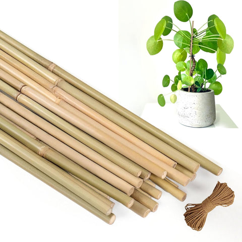 Natural Bamboo Plant Sticks