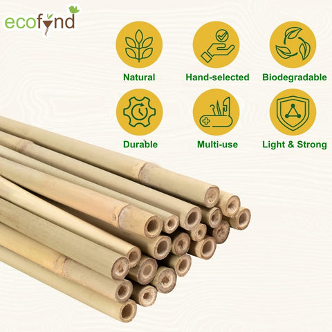 Natural Bamboo Plant Sticks