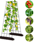 ecofynd Foldable A-Frame Garden Trellis