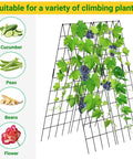 ecofynd Foldable A-Frame Garden Trellis