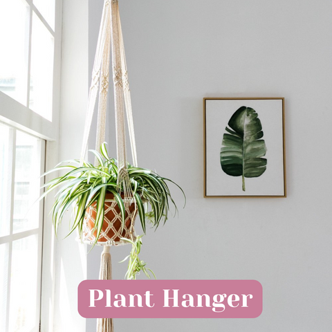 Macrame Plant Hangers