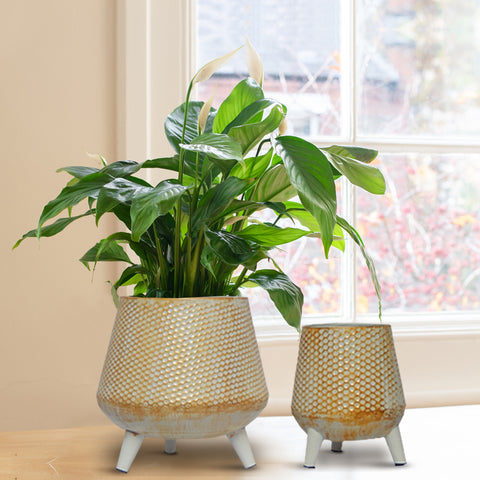 Ecofynd Hazel Metal Planter with Stand