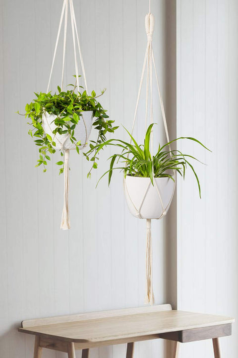 Macrame Minimalist Cotton Plant Hanger Macrame Plant Hanger freeshipping - Ecofynd