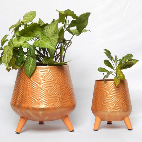 Hazel Metal Planter with Stand