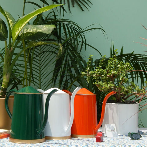 White Kids and Adult Watering Can