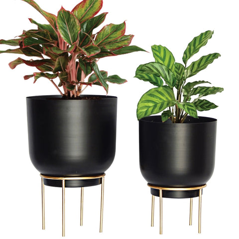 Eva Black Metal Plant Pot with Stand (Set of 2)