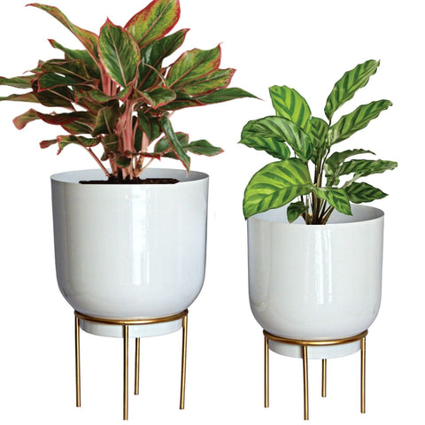 Eva White Metal Plant Pot with Stand (Set of 2)