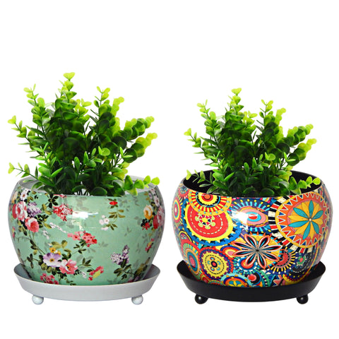 Lily Multicolor Metal Pot with Saucer Plate