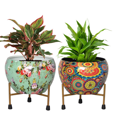 Lio Metal Pot with Stand (Set of 2)