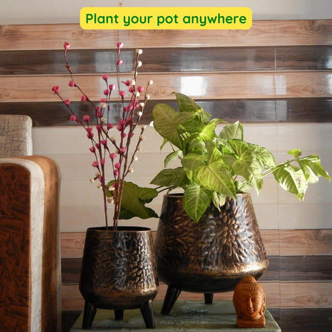 Hazel Metal Planter with Stand