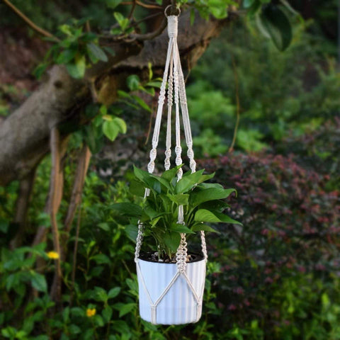 Ecofynd Macrame Cotton Plant Hanger Macrame Plant Hanger freeshipping - Ecofynd