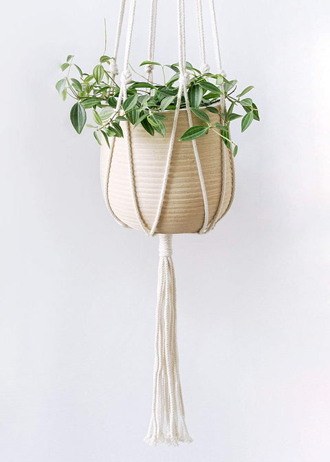 Ecofynd Cotton Flower Pot Holder, Set of 5 Macrame Plant Hanger freeshipping - Ecofynd