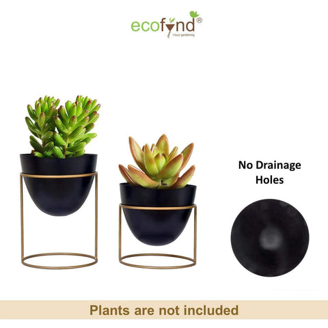 ecofynd Alle Black Metal Plant Pot with Stand (Set of 2)