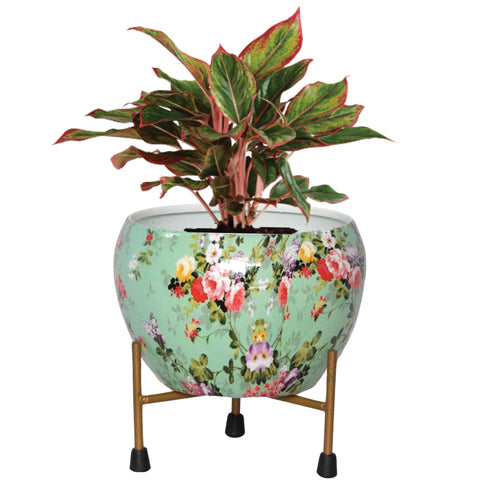 Lio Green Floral Metal Pot with Stand