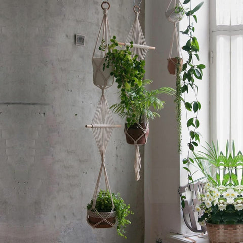 Ecofynd Macrame Cotton Plant Hanger Rope Macrame Plant Hanger freeshipping - Ecofynd