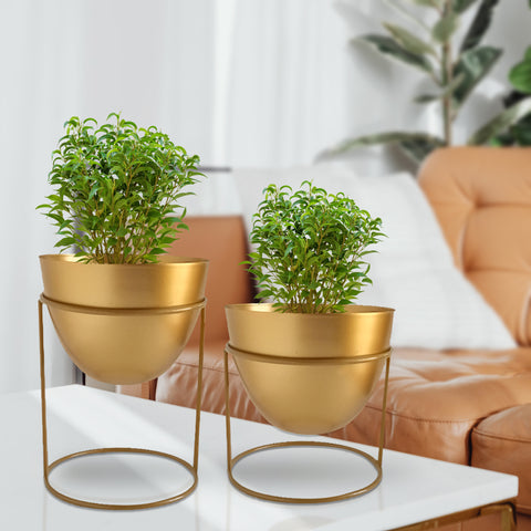 Alle Gold Metal Plant Pot with Stand (Set of 2)