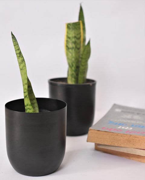 4.3 inches Metal Planter - Black Planter freeshipping - Ecofynd