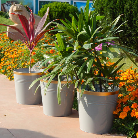 Round Metal Bucket Planter, Pack of 3 Large Planters freeshipping - Ecofynd