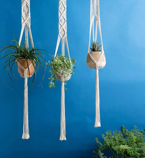 Macrame Cotton Plant Hanger, 3 Pack Macrame Plant Hanger freeshipping - Ecofynd