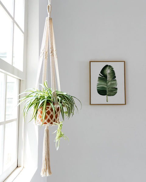 Macrame Cotton Plant Hanger Basket Macrame Plant Hanger freeshipping - Ecofynd