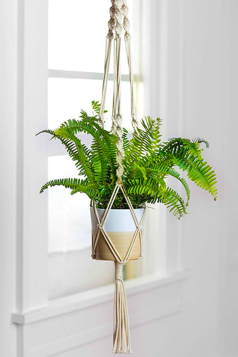 Macrame Cotton Plant Hanger Macrame Plant Hanger freeshipping - Ecofynd