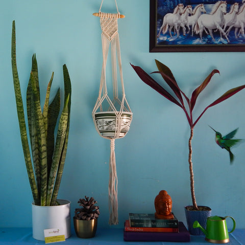 Macrame Cotton Plant Wall Hanger Macrame Plant Hanger freeshipping - Ecofynd