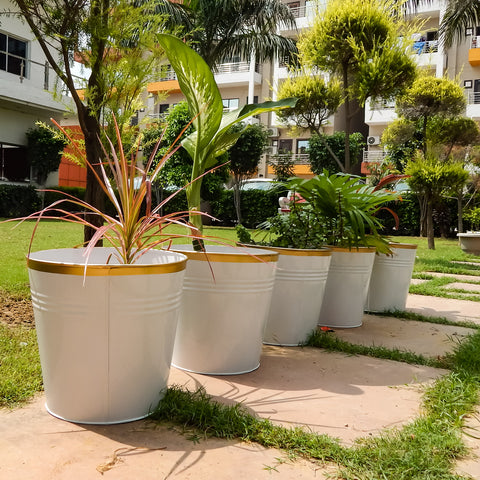 Round Metal Bucket Planter, Pack of 3 Large Planters freeshipping - Ecofynd