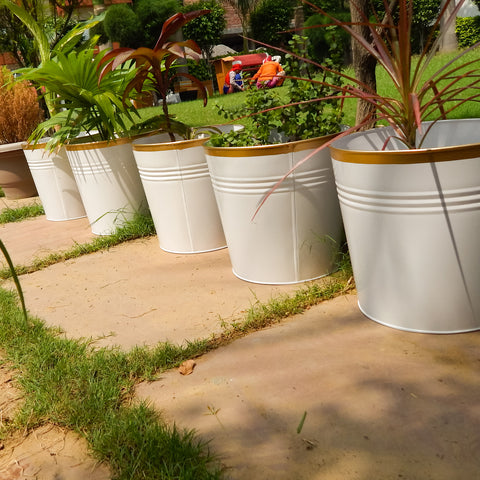 Round Metal Bucket Planter, Pack of 3 Large Planters freeshipping - Ecofynd