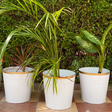 Round Metal Bucket Planter, Pack of 3 Large Planters freeshipping - Ecofynd