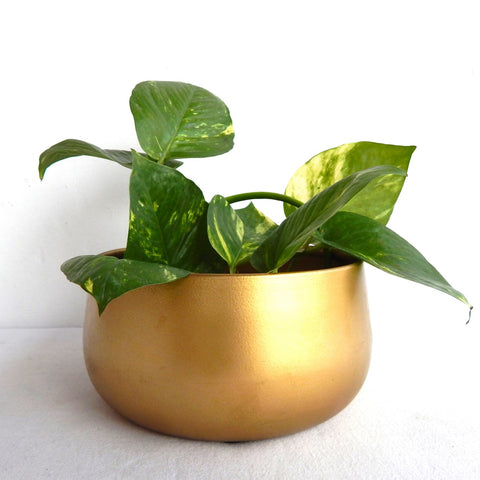 ecofynd Zoe Metal Plant Pots Planter freeshipping - Ecofynd