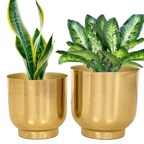 Eva Gold Metal Plant Pots Planters freeshipping - Ecofynd