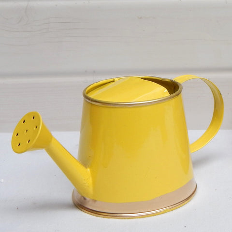 Yellow Watering Can for Kids 250 ml