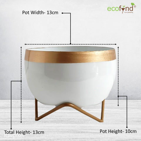 ecofynd 5 inches Elis White Metal Planter Pot with Gold Stand Planter freeshipping - Ecofynd