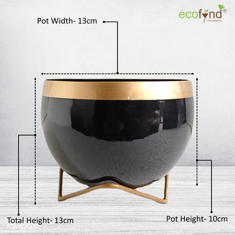 ecofynd Elis Black Metal Pot with Stand