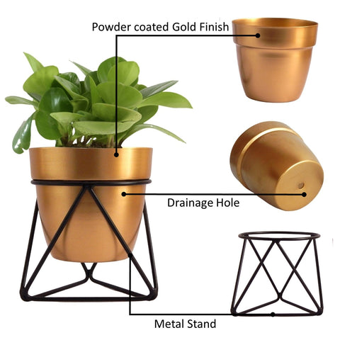 Noa Gold Metal Pot with Stand