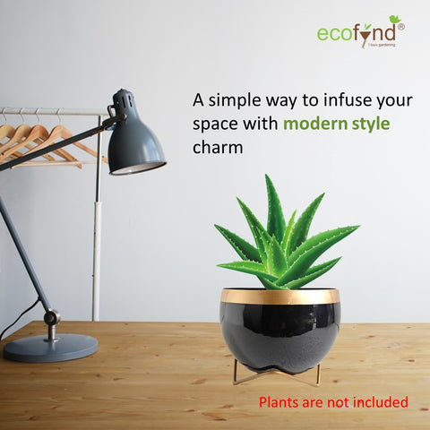 ecofynd Elis Black Metal Pot with Stand