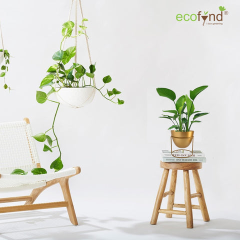 Alle Metal Plant Pot with Stand planter freeshipping - Ecofynd