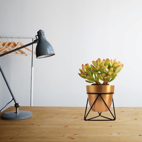 Noa Gold Metal Pot with Stand