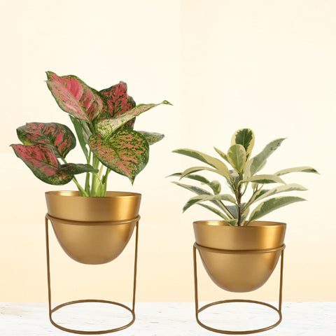 Alle Metal Plant Pot with Stand planter freeshipping - Ecofynd