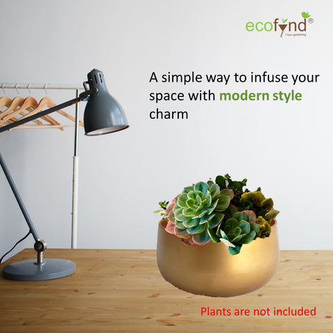 ecofynd Zoe Metal Plant Pots Planter freeshipping - Ecofynd