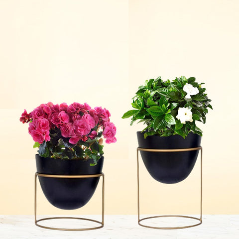 ecofynd Alle Black Metal Plant Pot with Stand (Set of 2)