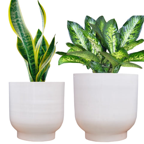 Eva Black Metal Plant Pots Planter freeshipping - Ecofynd