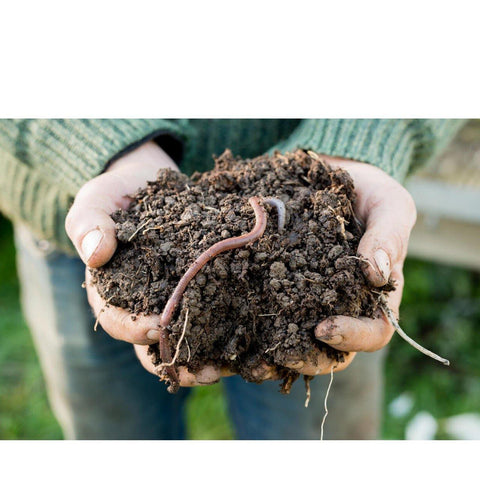 100% Organic Vermicompost Fertilizer Manure for Plants Potting Mix freeshipping - Ecofynd