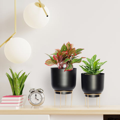 Eva Black Metal Plant Pot with Stand (Set of 2)