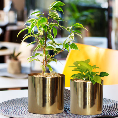 Grace Gold Metal Pot